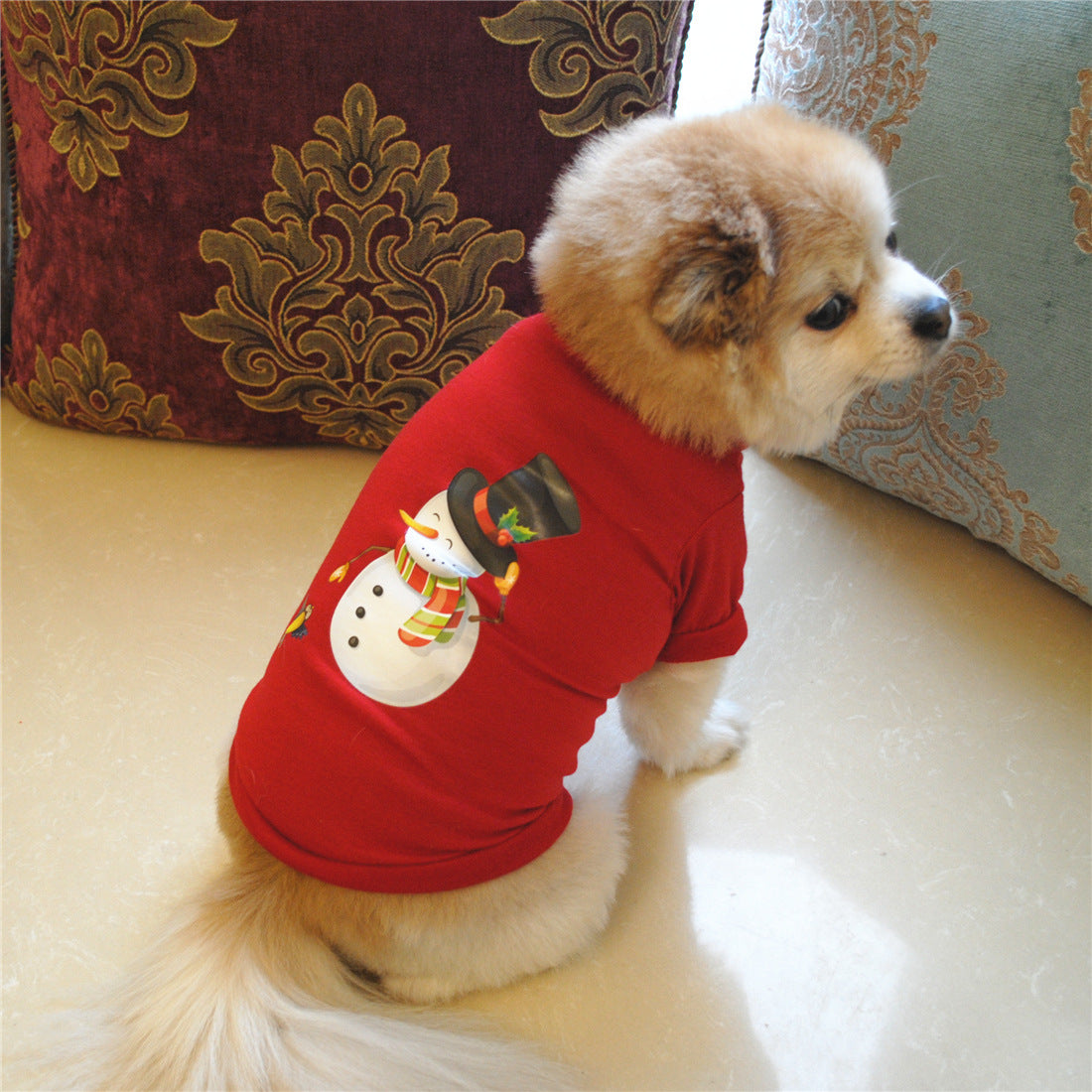 Christmas clothes for dog
