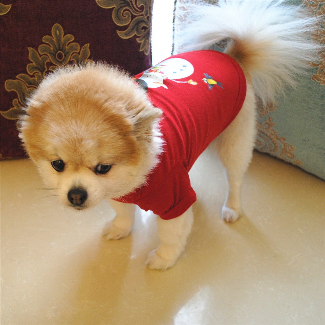 Christmas clothes for dog